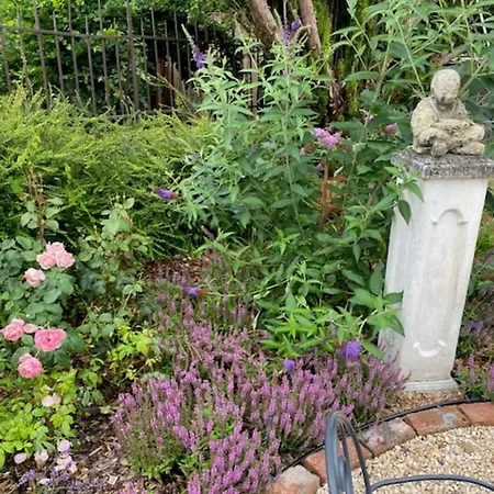 Maison De L'aumance Bed & Breakfast Meaulne