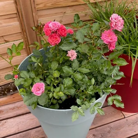 Bed & Breakfast Maison De L'aumance